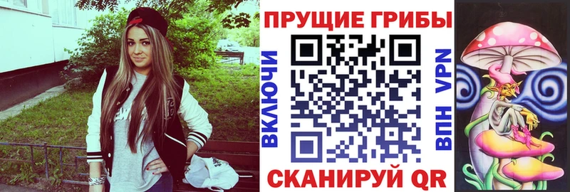 Псилоцибиновые грибы GOLDEN TEACHER  Дербент 