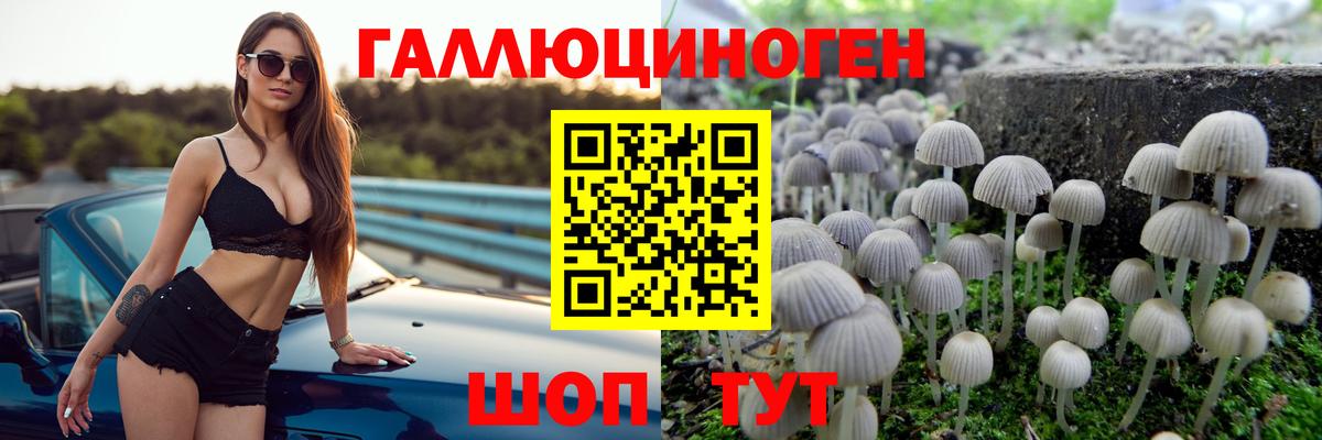 Псилоцибиновые грибы Cubensis  Вход с VPN  Дербент 